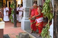 Nitya Bali Puja (Picture Courtesy Shri Dinesh Karkal)